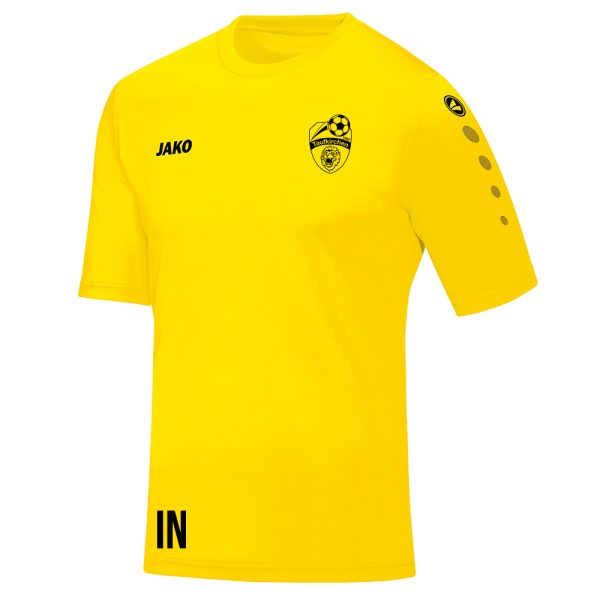 Trikot Team Kurzarm